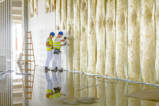 Eco-Friendly or Green Insulation Solutions in El Rancho, NM